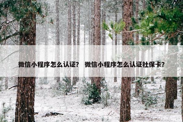 微信小程序怎么认证？ 微信小程序怎么认证社保卡？