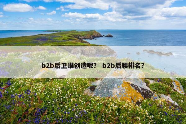 b2b后卫谁创造呢？ b2b后腰排名？
