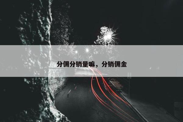 分佣分销量嘛，分销佣金