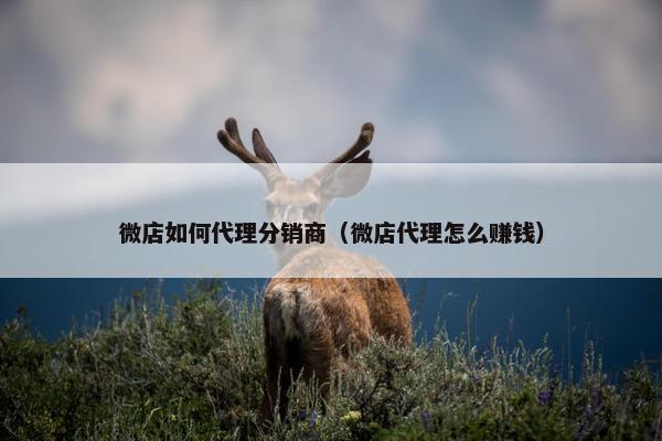 微店如何代理分销商（微店代理怎么赚钱）