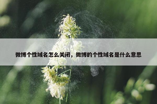 微博个性域名怎么关闭，微博的个性域名是什么意思