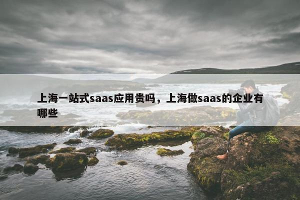 上海一站式saas应用贵吗，上海做saas的企业有哪些