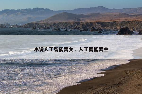 小说人工智能男女，人工智能男主