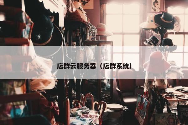 店群云服务器（店群系统）