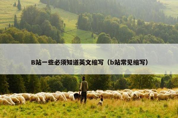 B站一些必须知道英文缩写（b站常见缩写）