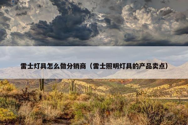 雷士灯具怎么做分销商（雷士照明灯具的产品卖点）