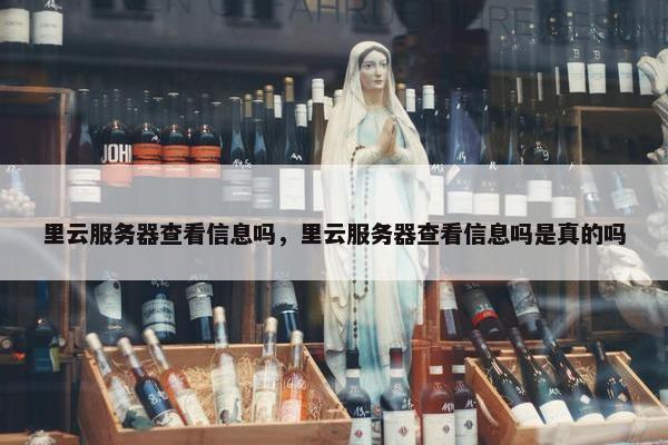 里云服务器查看信息吗，里云服务器查看信息吗是真的吗