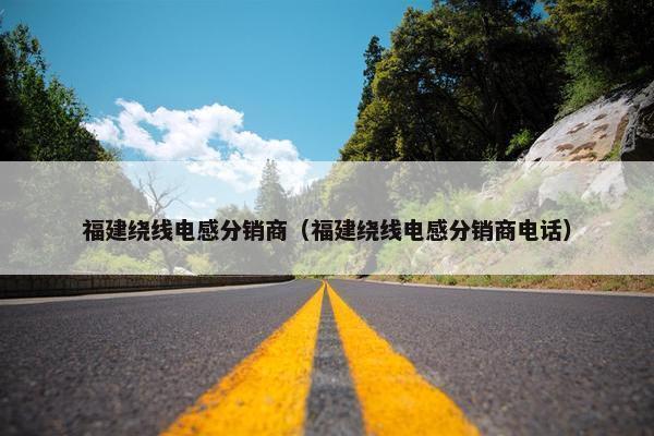 福建绕线电感分销商（福建绕线电感分销商电话）