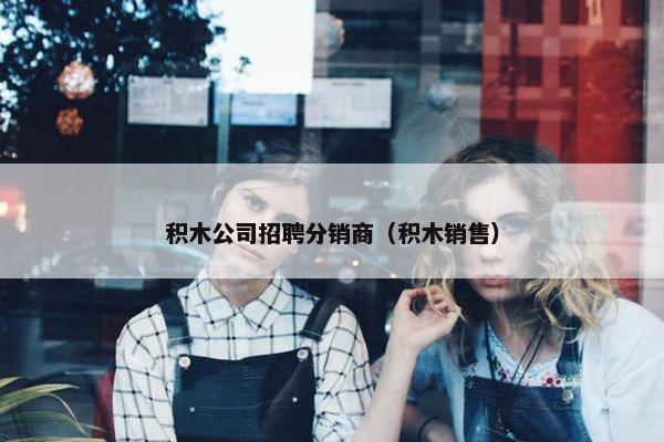 积木公司招聘分销商（积木销售）