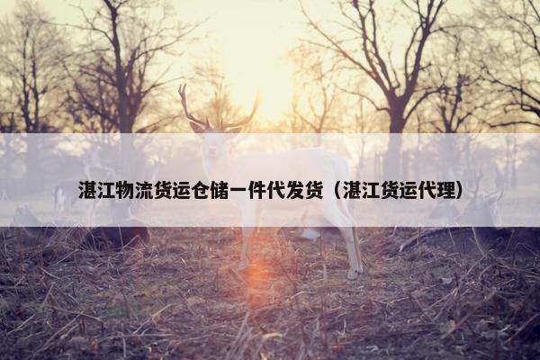 湛江物流货运仓储一件代发货（湛江货运代理）