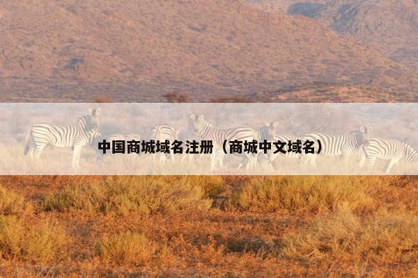 中国商城域名注册（商城中文域名）