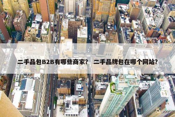 二手品包B2B有哪些商家？ 二手品牌包在哪个网站？