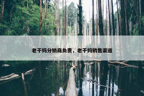 老干妈分销商负责，老干妈销售渠道