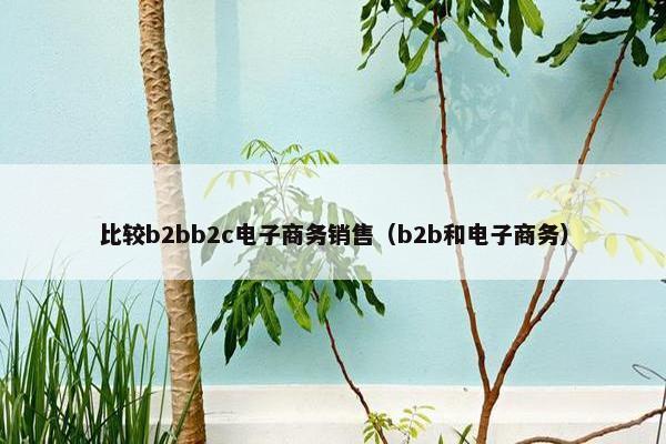 比较b2bb2c电子商务销售（b2b和电子商务）