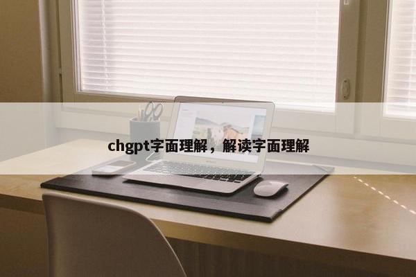 chgpt字面理解，解读字面理解