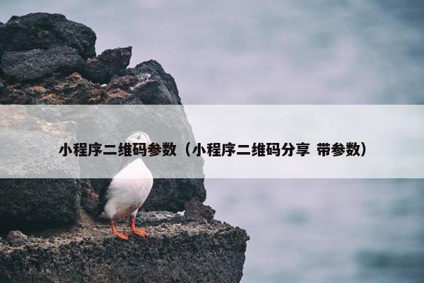 小程序二维码参数（小程序二维码分享 带参数）