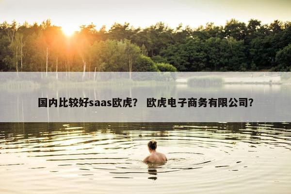 国内比较好saas欧虎？ 欧虎电子商务有限公司？