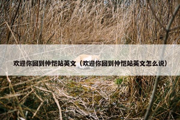 欢迎你回到仲恺站英文（欢迎你回到仲恺站英文怎么说）