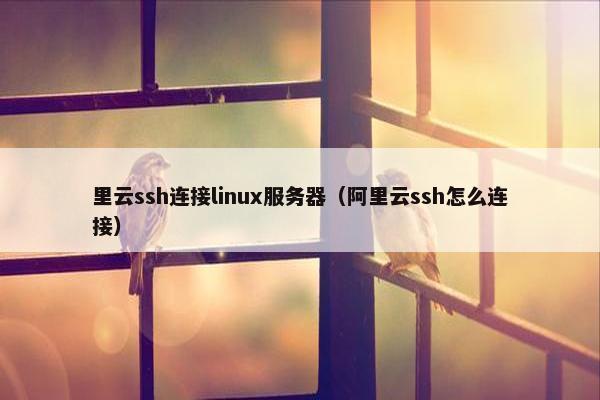 里云ssh连接linux服务器（阿里云ssh怎么连接）