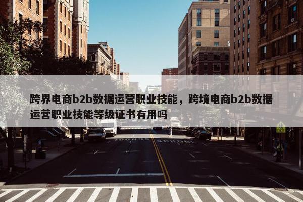 跨界电商b2b数据运营职业技能，跨境电商b2b数据运营职业技能等级证书有用吗