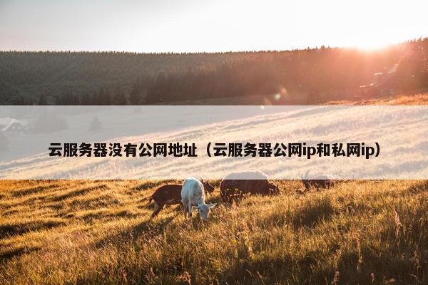 云服务器没有公网地址（云服务器公网ip和私网ip）