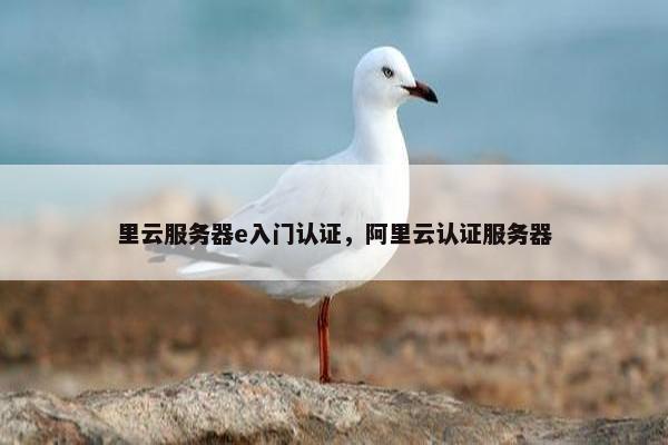 里云服务器e入门认证，阿里云认证服务器