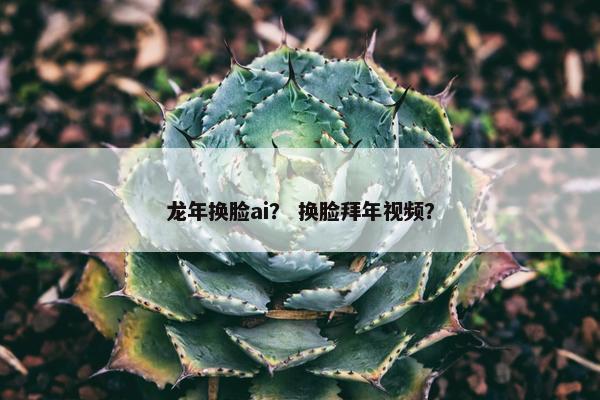 龙年换脸ai？ 换脸拜年视频？