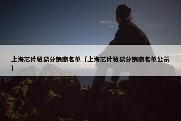 上海芯片贸易分销商名单（上海芯片贸易分销商名单公示）