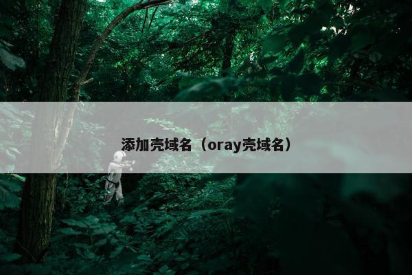 添加壳域名（oray壳域名）