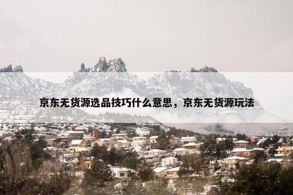 京东无货源选品技巧什么意思，京东无货源玩法