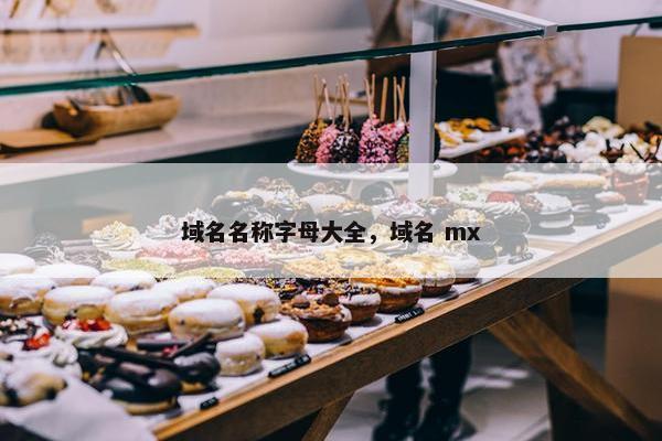 域名名称字母大全，域名 mx