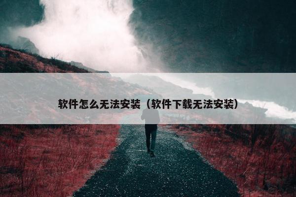 软件怎么无法安装（软件下载无法安装）