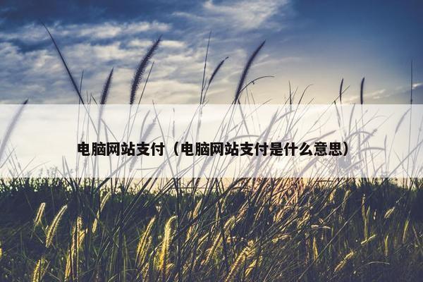 电脑网站支付（电脑网站支付是什么意思）