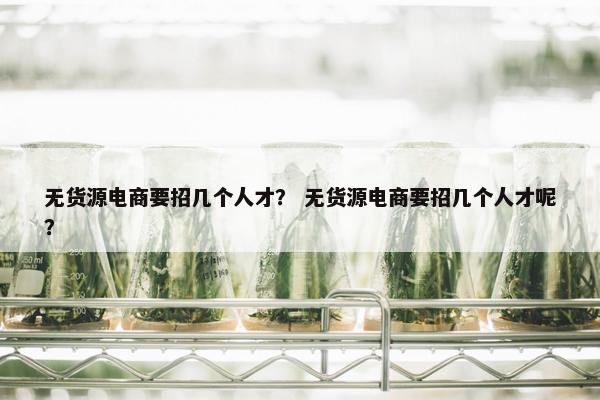 无货源电商要招几个人才？ 无货源电商要招几个人才呢？