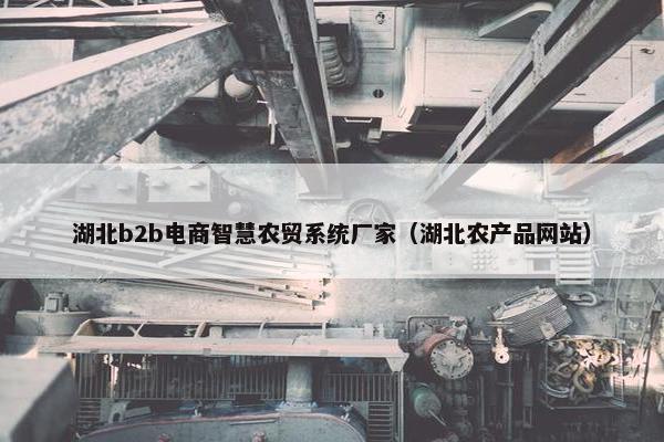 湖北b2b电商智慧农贸系统厂家（湖北农产品网站）