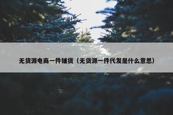 无货源电商一件铺货（无货源一件代发是什么意思）