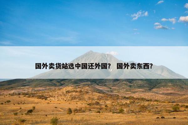 国外卖货站选中国还外国？ 国外卖东西？