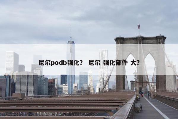 尼尔podb强化？ 尼尔 强化部件 大？