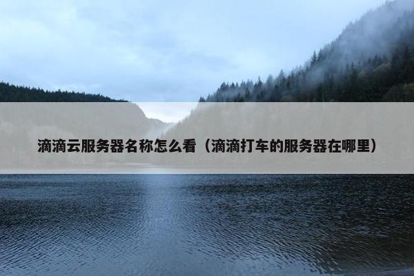 滴滴云服务器名称怎么看（滴滴打车的服务器在哪里）