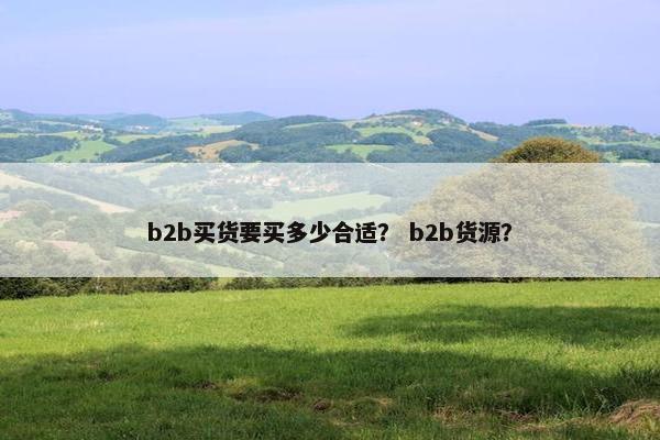 b2b买货要买多少合适？ b2b货源？
