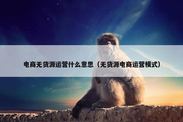 电商无货源运营什么意思（无货源电商运营模式）