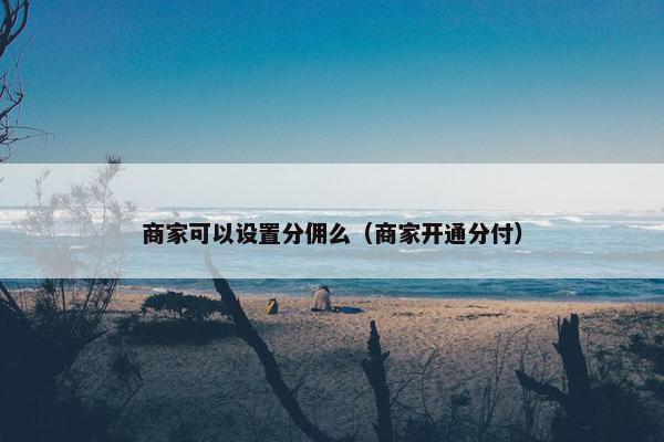 商家可以设置分佣么（商家开通分付）