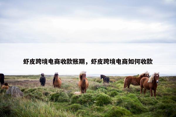 虾皮跨境电商收款账期，虾皮跨境电商如何收款