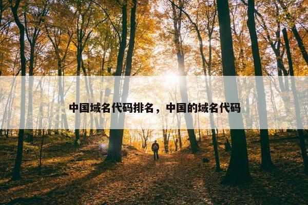 中国域名代码排名，中国的域名代码