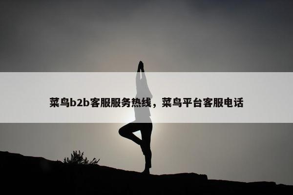 菜鸟b2b客服服务热线，菜鸟平台客服电话
