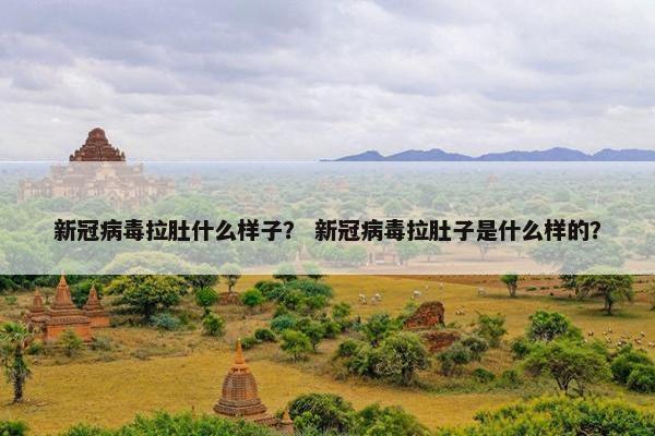 新冠病毒拉肚什么样子？ 新冠病毒拉肚子是什么样的？