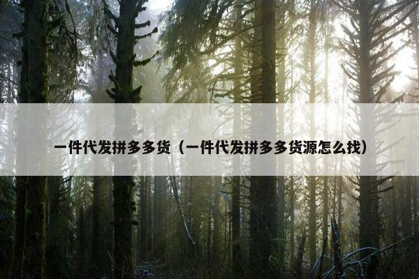 一件代发拼多多货（一件代发拼多多货源怎么找）
