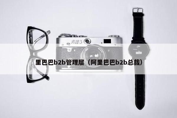 里巴巴b2b管理层（阿里巴巴b2b总裁）