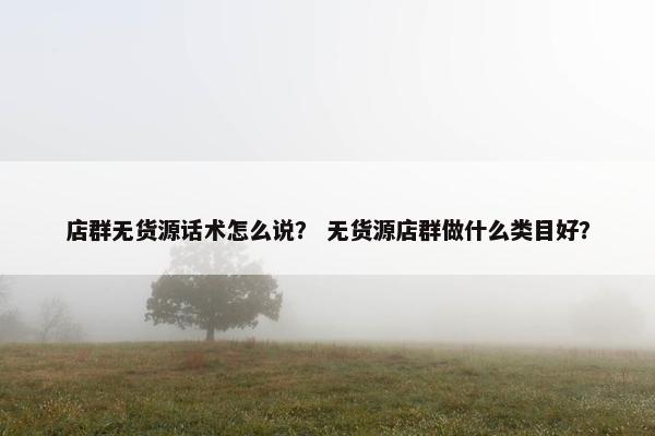 店群无货源话术怎么说？ 无货源店群做什么类目好？