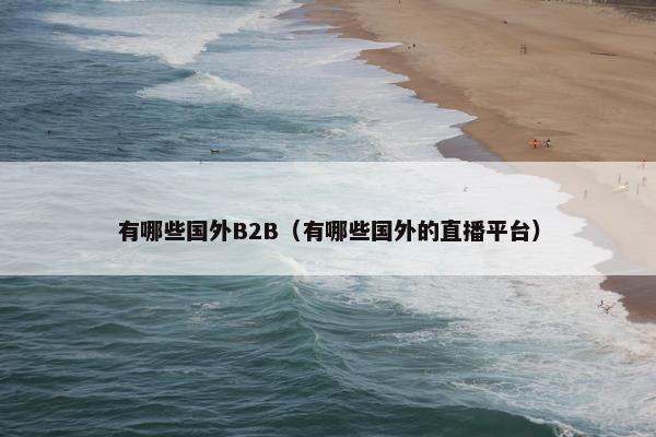 有哪些国外B2B（有哪些国外的直播平台）